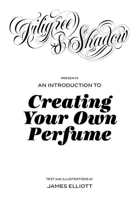 Behind the Scenes: Creating My Perfumery Guide